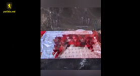 Patru bărbați au fost reținuți după ce ar fi omorât mai multe căprioare